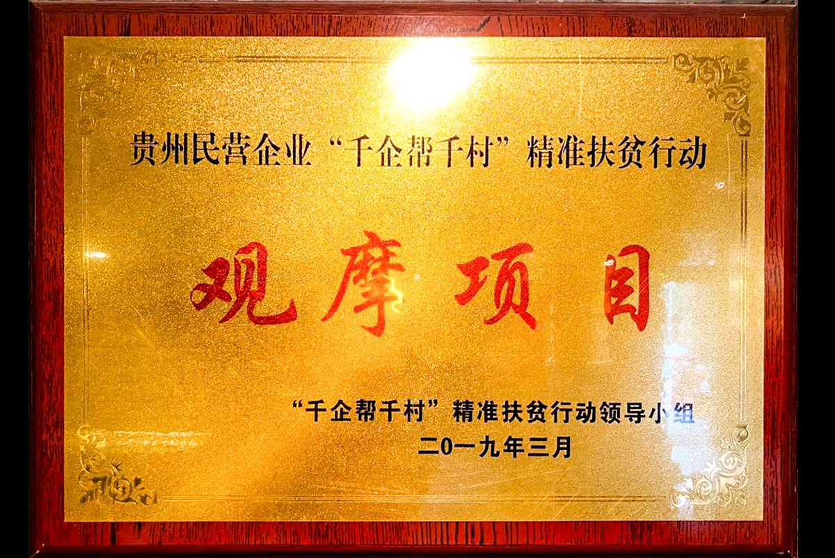 貴州民營(yíng)企業(yè)“干企幫干村”精準(zhǔn)扶貧行動(dòng)觀摩項(xiàng)目